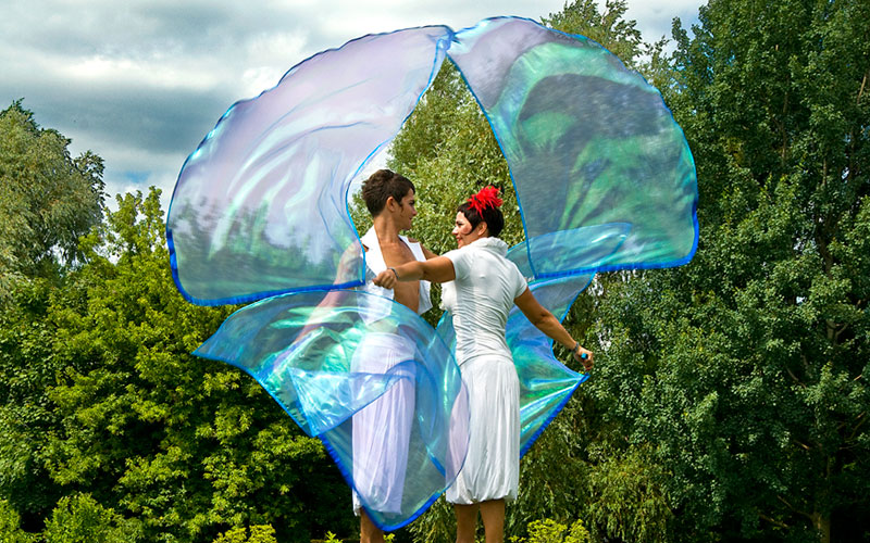 Fairywings