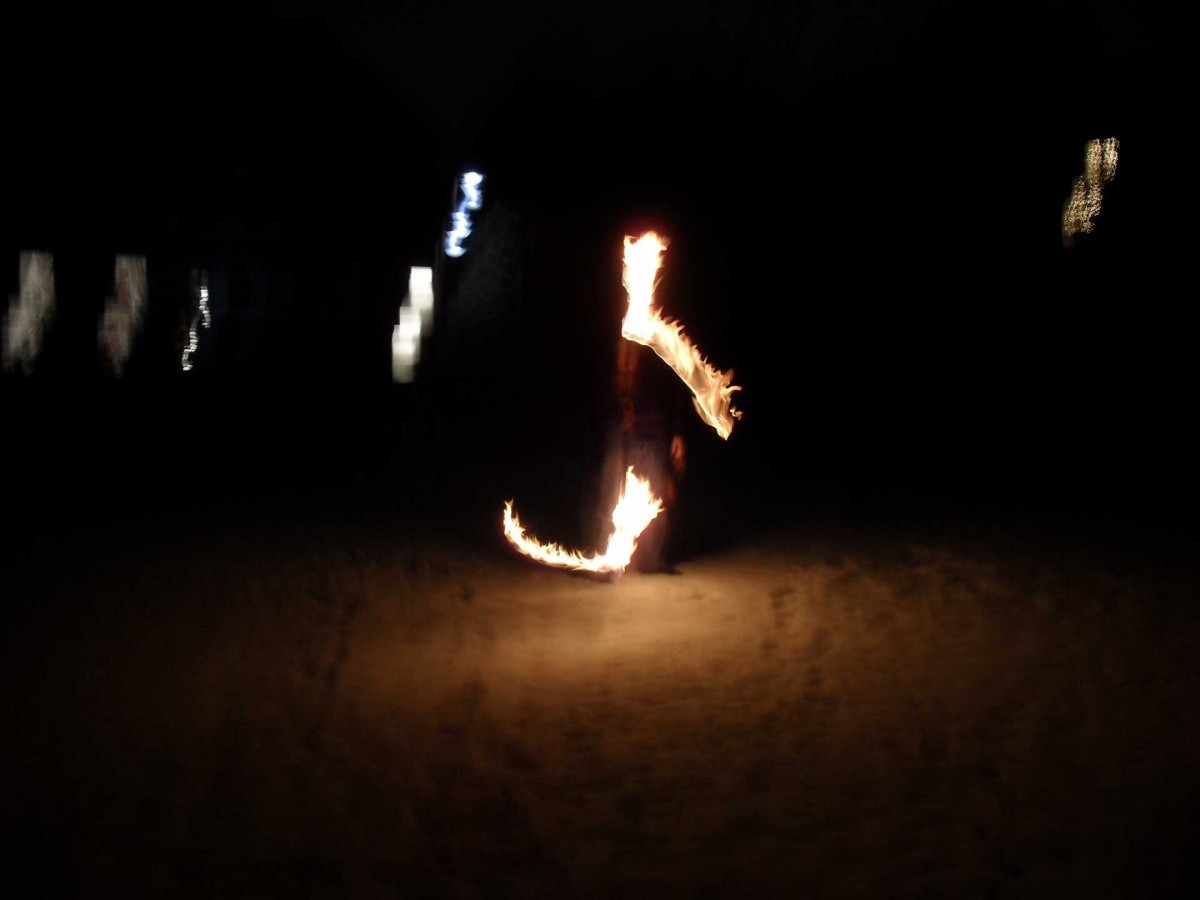 SDC10931