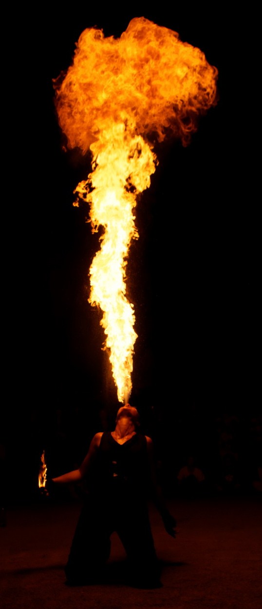 DSC08403_DxO