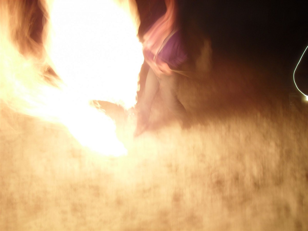 SDC11013