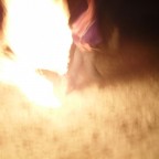 SDC11013