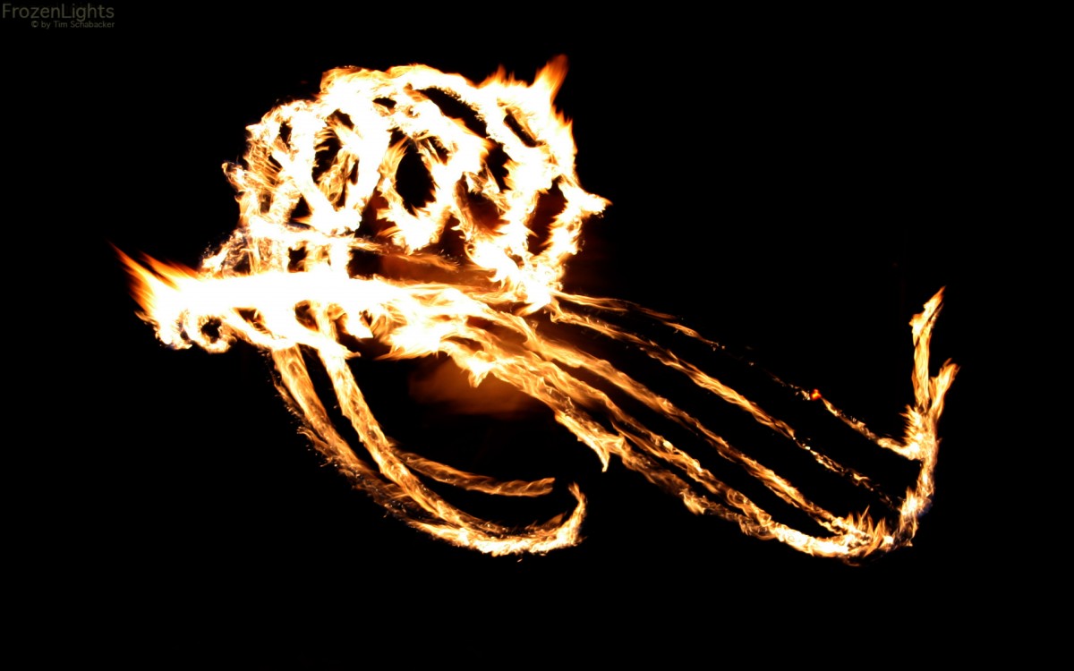 Ein richtiger Drache