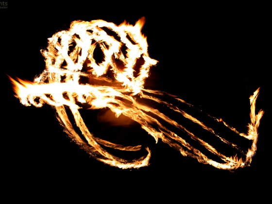 Ein richtiger Drache