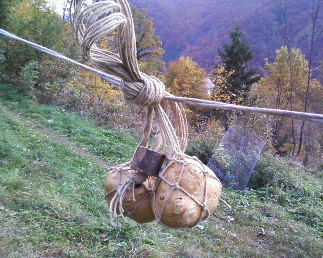 100% natural Poi